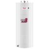 Picture of C++ 172STE3S8ME8CC 60G 3KW/240V WATER HE