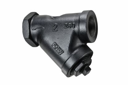 Picture of 1-1/4 CI 250# THRD 20 MESH Y STRN
