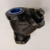 Picture of 1-1/4 CI 250# THRD 20 MESH Y STRN