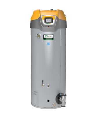 Picture of MXI BTH 250 301 LP 100USG 250KBTU PDV WH