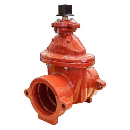 Picture of 200MM(8)A2361-40 MJ RW GAT OL 304SS STEM