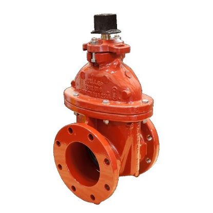 Picture of 100MM(4) A2362-6 OL FLANGE RW GATE VLV