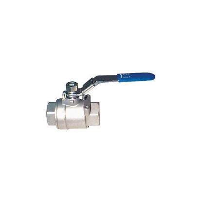 Picture of 1" 1000 WOG THRD SS FP BV
