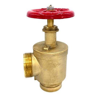 Picture of IE23G 2 1/2 WCT GRXM ANG VALVE BRS