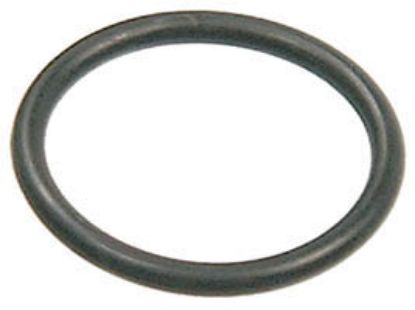Picture of 060059A (16016) O-RINGS (PKG-12)
