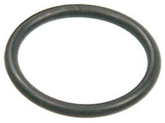 Picture of 060059A (16016) O-RINGS (PKG-12)