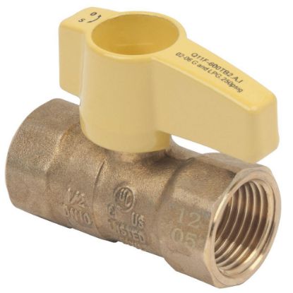 Picture of YBV8. GAS BALL VALVE 1/2FIPX 1/2