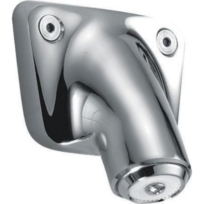 Picture of 060793A 30DEG INSTIT SHWR HEAD 2.0 GPM