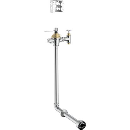 Picture of 1600T6204ARI E-CONCEALED HW FLUSH VLV RI