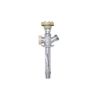 Picture of 3/4X1/2 X 12 BRS A/SIPHON SILL