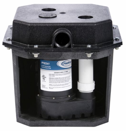 PROFLO PF92017 120V, 1/3 hp, Cast Iron Remote Sink and Drain Pump ...