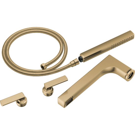 Picture of R++T70306-GL 2H TUB FILLER TRIM KIT