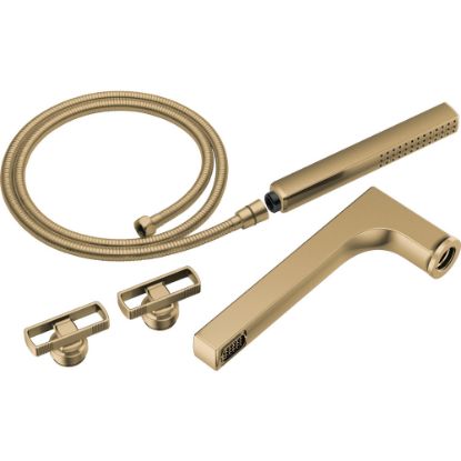 Picture of R++T70308-GL 2H TUB FILLER TRIM KIT