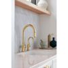 Picture of R++ 61365LF-H-PG INST HOT BEVERAG FAUCET
