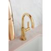 Picture of R++ 61365LF-H-PG INST HOT BEVERAG FAUCET