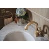 Picture of R++ 694630-GL TOWEL RING