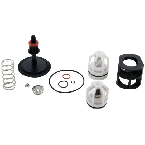 Picture of RK009M2-T 1" RED PRS ZN TOTAL REP KIT