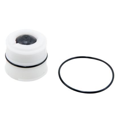 Picture of RKSS009-CK1 1/2-3/4" 1ST CHK REP KIT