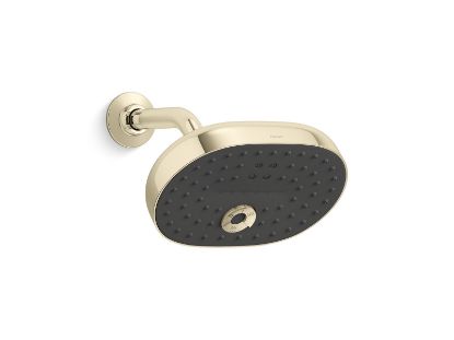 Picture of 26290-G-AF STATEMENT MF SHOWERHEAD G