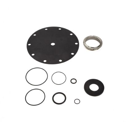 Picture of RKN223F M2 2-1/2-3" N223 REPAIR KIT