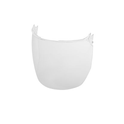 Picture of 48-73-1440 CLR FACE SHIELD REPLC LENS(5)