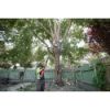 Picture of 49-16-2759 10"TELESCOPING POLE SAW CHAIN