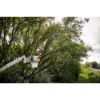 Picture of 49-16-2759 10"TELESCOPING POLE SAW CHAIN
