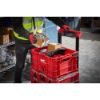 Picture of 48-22-8040 DIVIDER FOR PACKOUTO CRATE