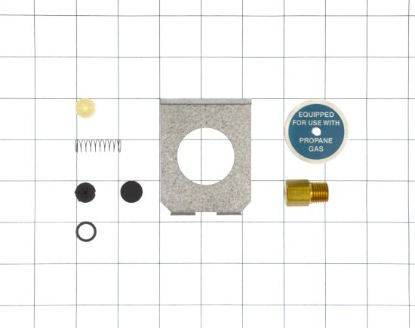 Picture of 1036536R CONV KIT NAT/LP UD 30/45