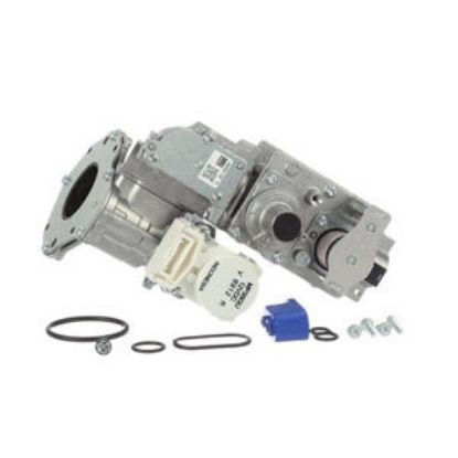 Picture of 106000117 GAS VALVE ASS
