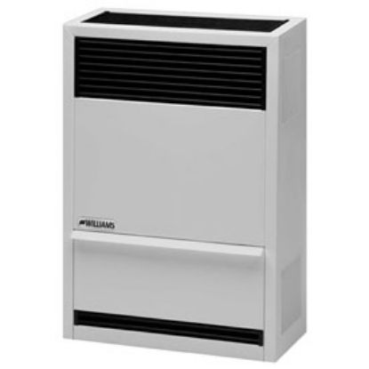 Picture of 1403822 DV FURN GRAVITY 14000 BTU NG