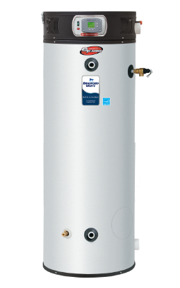 Picture of C++ EF100T250E3N2 100G 250BTU NG WTR HTR