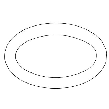 Picture of 1235805 O-RING