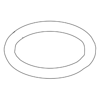 Picture of 1239203 O-RING