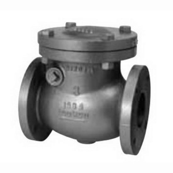 Red & White 005-51622 Toyo 2-1/2 in. Flanged 125# Grey Cast Iron